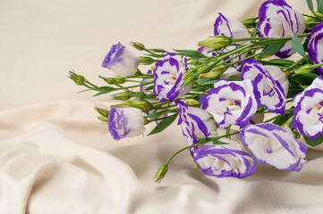 delicate blue flowers on an ivory fabric background