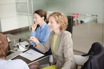Fototapeta premium Business people talking in meeting