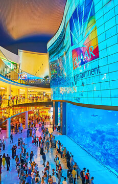 Dubai Aquarium in Dubai Mall, on March 4 in Dubai, UAE