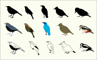 vector set of birds outline shape 