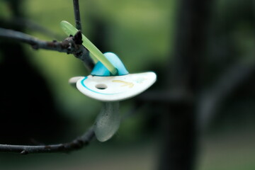 soother on a branch