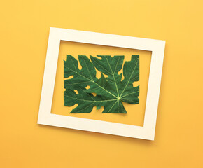 tropical leaf in wooden picture frame
