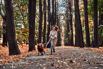 Crazy jogging with a dog in the autumn park. Woman running in the park with a dog on a leash with joyful emotions and pleasure. - obrazy, fototapety, plakaty