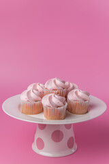 Pink mini cupcakes on a pink background