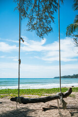 beach with palm trees