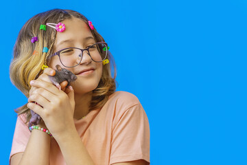 beautiful girl with glasses holds pet rat in her hands on blue background, love for rodents or animals, place to copy space