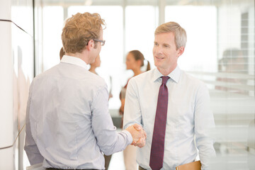 Businessmen shaking hands in office