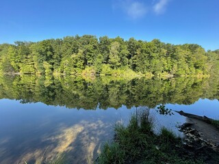 Obraz premium lake in the forest