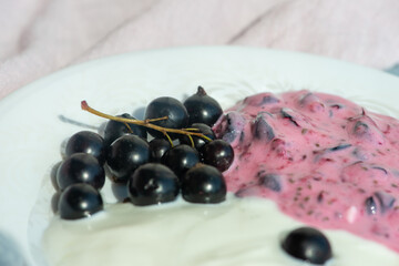 Blackcurrant for skin care. Blackcurrant berries and yogurt for facial mask.
