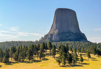 Devils Tower rising above pine forest and meadow