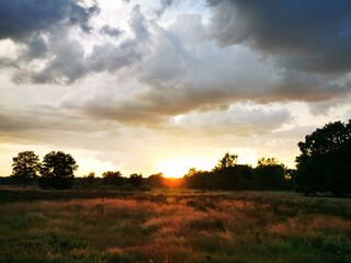 sunset in the field