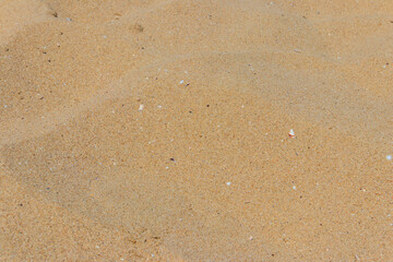 Yellow sand texture for background
