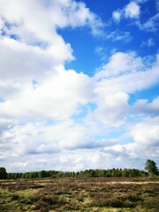 landscape with blue sky