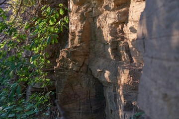 Part of a sheer cliff from which bushes hang.