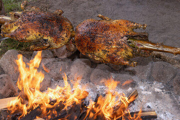 Obraz na płótnie Canvas ducks with crispy brown skin roasted on a spit on the open fire, campfire cooking, spit roast