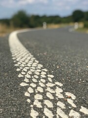 Closeup of winding road line with botts' dots on the paved asphalt highway in North Germany
