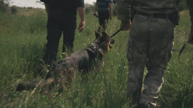 Rescue team with dog walking in field