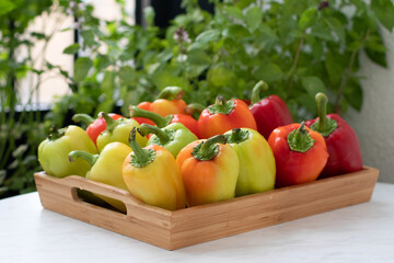 Sweet red pepper in a wooden tray on a white table