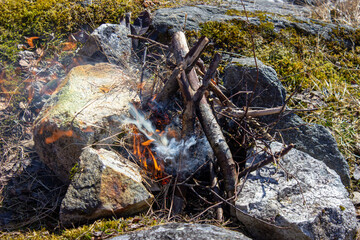 campfire in the forest