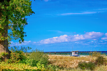 View over the bank vegetation to the Baltic Sea in front of Bansin on the island of Usedom, Germany. - obrazy, fototapety, plakaty