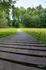 wooden path in the park