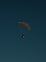 Paraglider