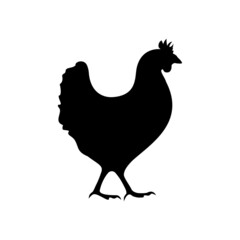 Black silhouette chicken. Farm bird pictogram. Hen glyph. Vector illustration flat design. Isolated on white background.