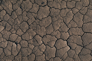 Full frame shot of dry, cracked earth