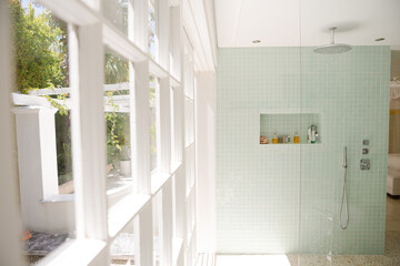 Shower in modern bathroom