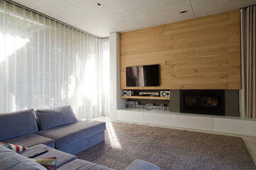 Sofa and fireplace in modern living room