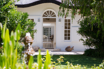 Birdbath in garden outside house