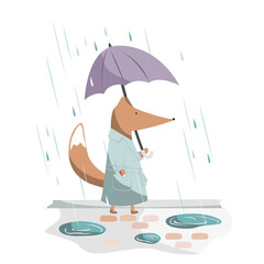 Cute and handsome fox walking with umbrella in the rain. Vector illustration