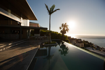 Palm tree in infinity pool