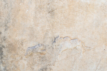 Details of nature sandstone carved texture and background, pattern of nature stone
