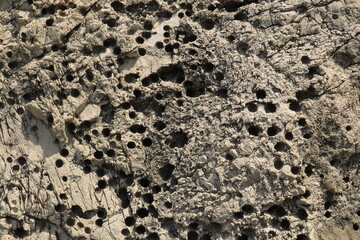 texture of grey stone for background 