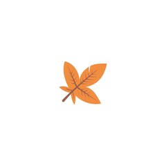 Autumn leaves icon flat design template