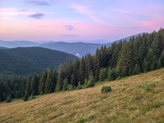 Sunrise on the Yavirnyk meadow in the Carpathians