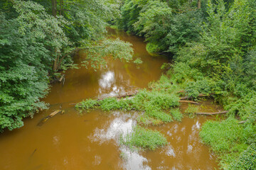 Mała, nieuregulowana, dzika rzeka płynąca pośród gęstych zarośli. Po intensywnych opadach deszczu woda ma brązowy kolor. - obrazy, fototapety, plakaty