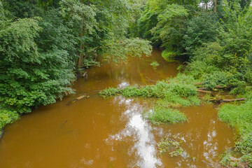 Mała, nieuregulowana, dzika rzeka płynąca pośród gęstych zarośli. Po intensywnych opadach deszczu woda ma brązowy kolor. - obrazy, fototapety, plakaty
