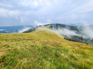 Foggy morning on the Yavirnyk meadow in the Carpathians