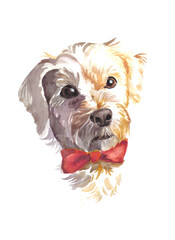 Watercolor illustration of a dog (puppy portrait) with a red bow.