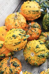 Colorful pumkins. Autumn Backgraund. Halloween. Vegetables market. vertical photo