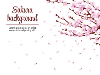Sakura branch background. Cherry blossom, japan tree floral branches. Japanese flowers blooming festival, spring romantic swanky vector poster