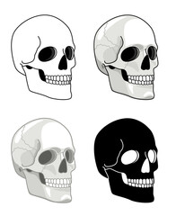 Simple drawn skull. Vector hell skulls icons, tattoo human skeleton heads for halloween illustrations, death face side view sketch isolated on white