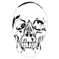 Skull Vector Illustration Hand drawing Halloween