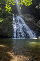 beautiful waterfall in rainforest