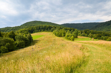 Fototapeta na wymiar Scenic panoramic view of fresh green meadows and mountain tops in the background during summer morning. Carpathian mountains, Ukraine