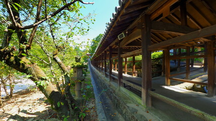 Fototapeta na wymiar 吉備津神社回廊6