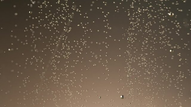 Super slow motion of champagne bubbles going up. Macro shot, filmed on high speed cinematic camera at 1000 frames per second.