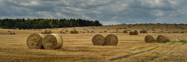 wide panoramic view of a hilly agricultural field with round straw bales on stubble after harvest in August under a cloudy sky
